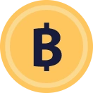 Bitcoin coin icon representing digital currency and blockchain payment technology